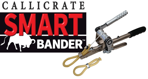 Callicrate Banders Callicrate Ranch Tools SMART Bander Livestock  Non-surgical Castration Castration Bands